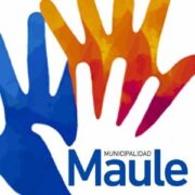 maule (Custom)